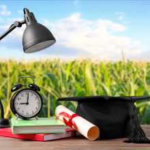 Mortar board, diploma, lamp, clock and books on table near corn field.